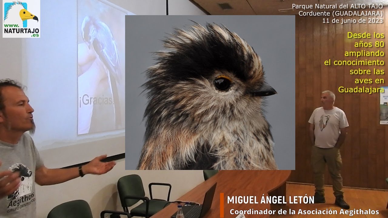 Desde los años 80' ampliando el conocimiento sobre las aves en Guadalajara