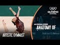 Anatomy of a Gymnast: Are They The Most Flexible Athletes on Earth?