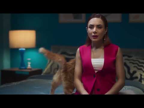 Lifetime Movies - Resístete si puedes - Gato con Johanna Fadul