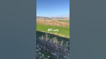 فَاصْبِرْ عَلَىٰ مَا يَقُولُونَ | سورة طه | القاري:محمد ايوب رحمه الله #قران_كريم #فلسطين #غزة