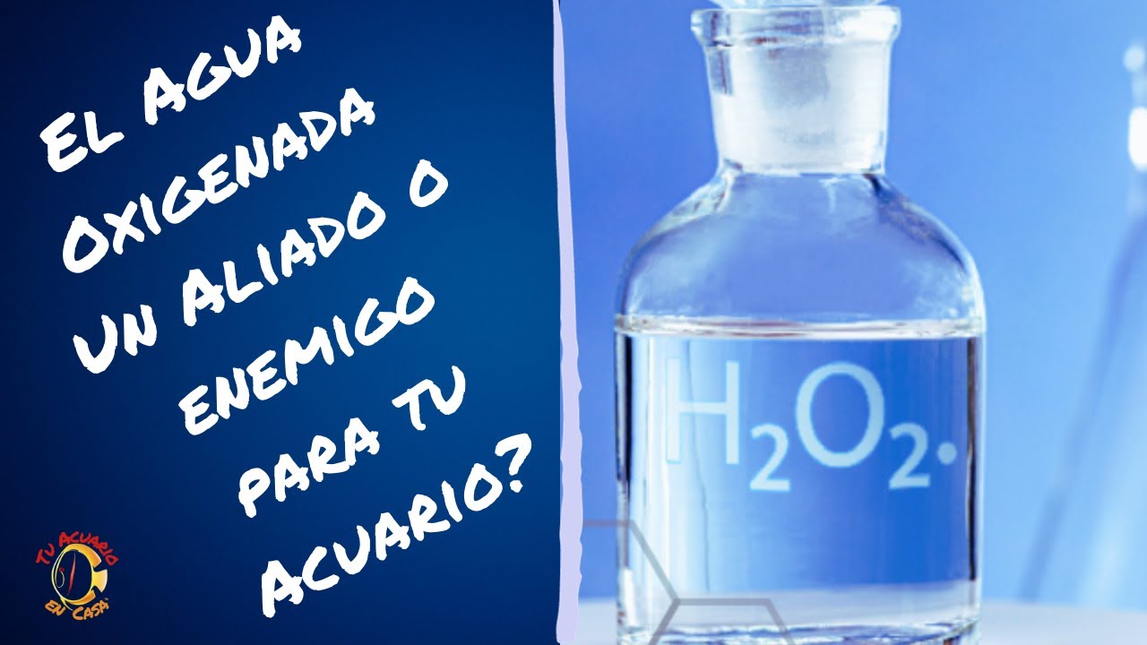 El Agua Oxigenada ¿un aliado o un enemigo?
