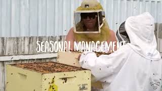 Beekeeping Level 1 at Olds College of Agriculture & Technology