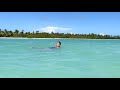 🌴☀️🌴Райский остров САОНА в Доминикане - Экскурсия на катамаране - Пунта Кана Saona Island Punta Cana
