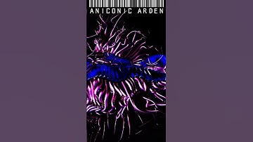 Centipede 3 | Experimental Music | Ableton | TouchDesigner