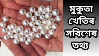 মুকুতা খেতিৰ সবিশেষ তথ্য | mukuta moni kheti assam, mukuta moni kheti, pearl farming in India