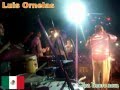 Cumbia del Acordeón - LUIS ORNELAS