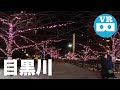 Tokyo Meguro-gawa River | VR180 3D | VR Video | insta360 EVO | Night walk