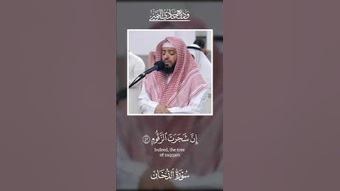 إن شجرة الزقوم * طعام الأثيم | تلاوة مؤثرة 🎧😥 الشيخ وديع اليمني أبو معاذ #وديع_اليمني #سورة_الدخان