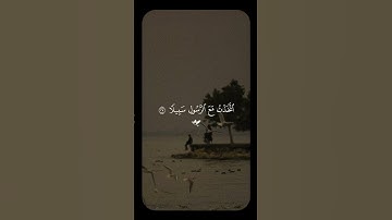 ياويلتا ليتني لم أتخذ فلانا خليلا  #قرآن #احمد_العجمي #سورة_الفرقان #قران_كريم