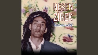 Didem Zara Resimi