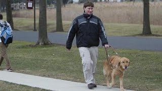 Almanac: Seeing eye dogs