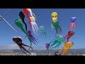 Berkeley Kite Festival 2017