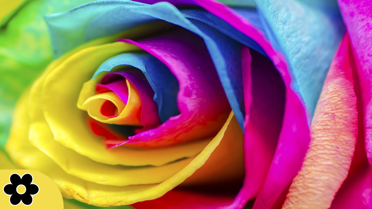 relax music bgm channel Reiki Meditation Music, Soothing Music, Relaxing Music Meditation, Reiki, Binaural Beats, ✿2740C