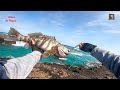 Jigging de orilla, una técnica de pesca super efectiva. // Amazing fishing techniques.