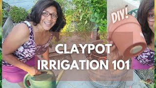 All About Clay Pot Irrigation + DIY Olla! And FAQs!