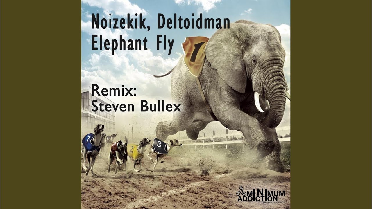 Flying Elephant танк. Elephant tracks. An Elephant is Fly перевод. Osiris Rhyme Remix Elephant. Elephant remix