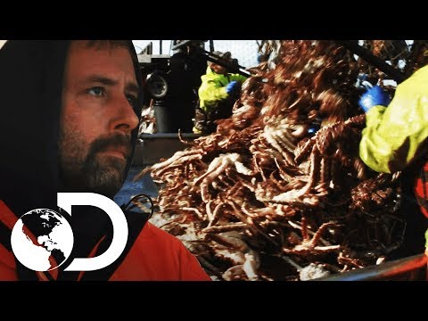 Las mejores pescas de la temporada | Pesca Mortal | Discovery Latinoamérica