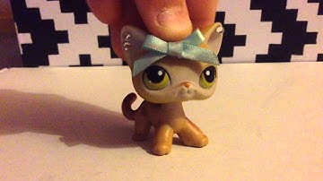 LPSSnowCookiess|Story Time|Episode 1| (leaving channel)