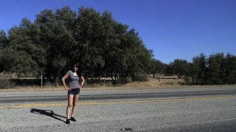 Crowdsourcing JusticeBut What About Brenda