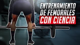 El mejor entrenamiento para femorales / CIENTÍFICAMENTE COMPROBADO