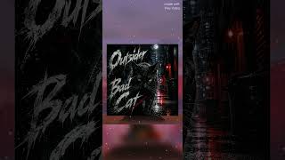 🎵Outsider Bad Cat 🎧️CupiyCandy #music #rock #spotify #cat