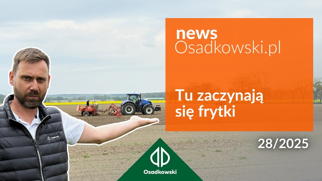 Sadzenie ziemniaka w praktyce - technologia, nawożenie i ochrona