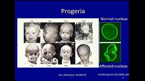 Regulatory and Epigenetic Landscapes of Mammalian Genomes -  Laura Elnitski (2012)
