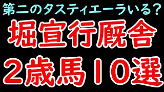 堀宣行厩舎の注目2歳馬10選 タスティエーラやゴンバデカーブースに続く馬はいるか！？【POG24-25】