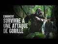 Comment survivre  une attaque de gorille
