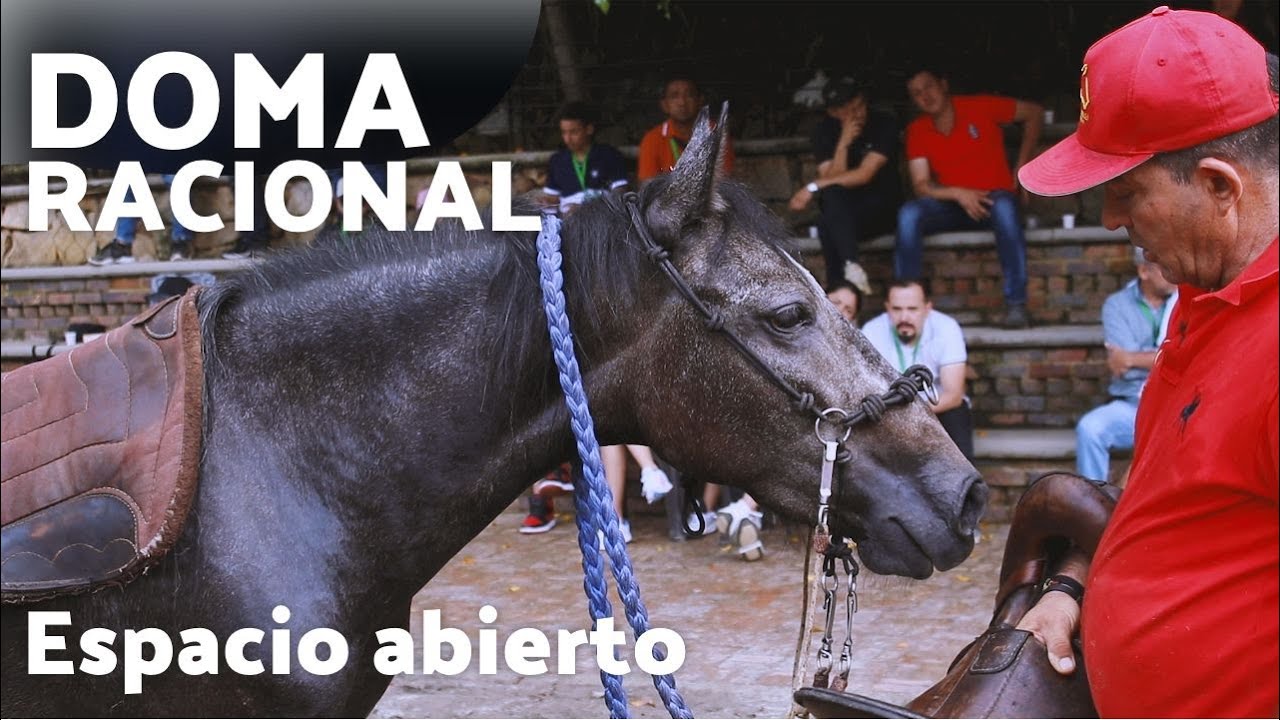 Inicio de DOMA RACIONAL de potranca mora en espacio abierto