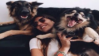 JEALOUS DOGS Want Attention From Their Owners💓 🐩 [Funny Video Compilation]