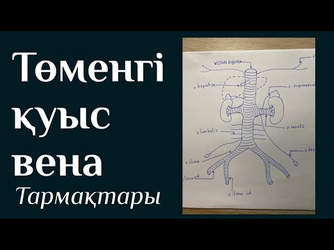 Пенис төмен қарай бүгілген Пенис төмен қарай бүгілген