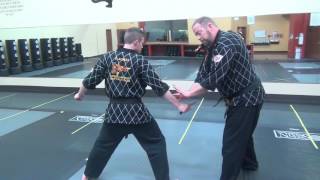 Hapkido for Pro Black to First Dan