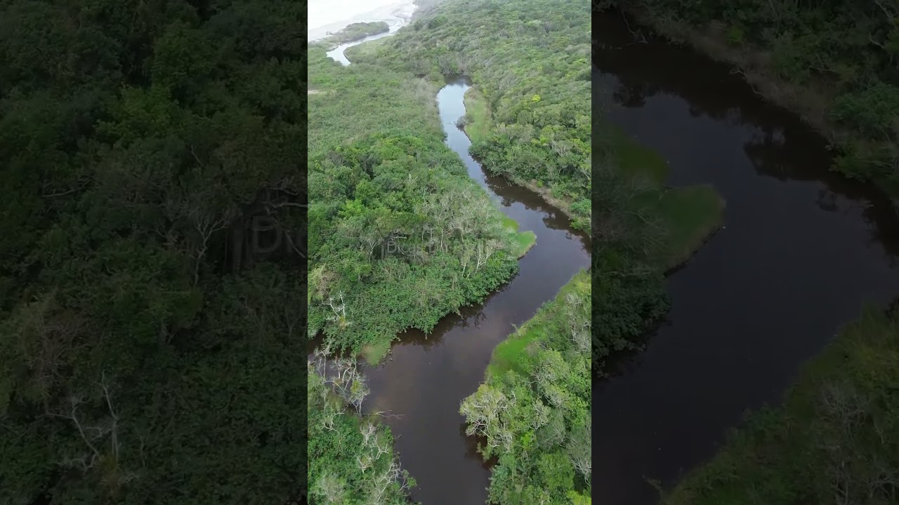 Reserva Jureia Itatins 🌿✨ – Sobrevoando um Paraíso Preservado de Drone!