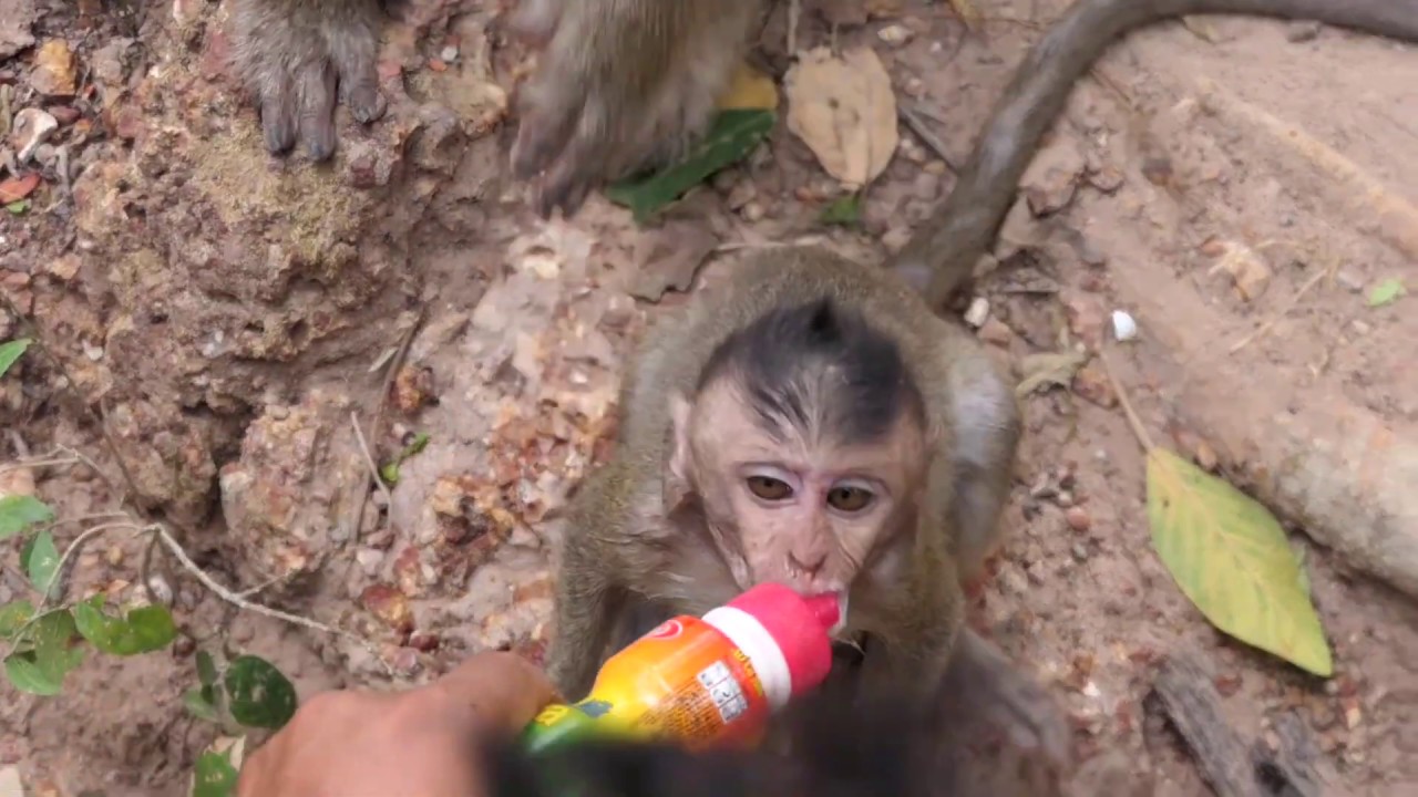 Baby Dustin cries very loud, because he is very hungry milk and miss his mom,