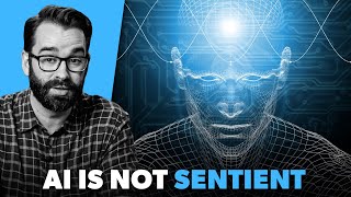 Have No Fear, There's No Sentient AI Here