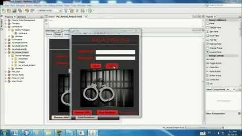 My IP Annual Project(Prisoner Management System)