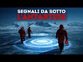 25 Fatti Straordinari da Non Perdere