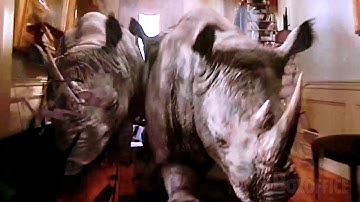 動物たちのハチャメチャ大混乱！ | ジュマンジ | 映画シーン