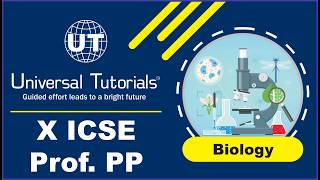 KKN27(B1/B2) - X ICSE BIOLOGY PP - 25/04/2026