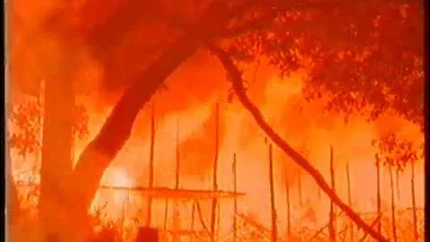 1666: The Great Fire of London (British Documentary)