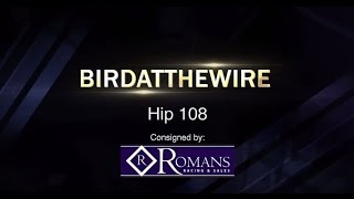 Birdatthewire: November Sale Featurette (2016)