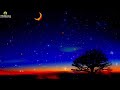 CALMING PEACEFUL RELAXING MUSIC: DEEP SLEEP MUSIC, HEALING MUSIC, DELTA WAVES, SOOTHING MUSIC