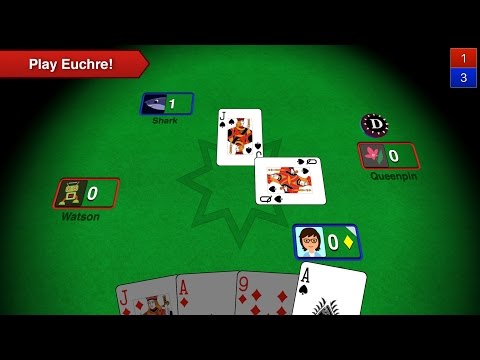 Euchre 3D