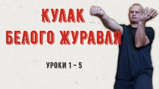 Кулак белого журавля Уроки с 1 по 5 Анонс