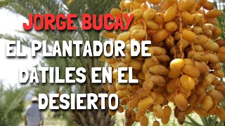 Jorge Bucay  - El Plantador de DÁTILES en el DESIERTO