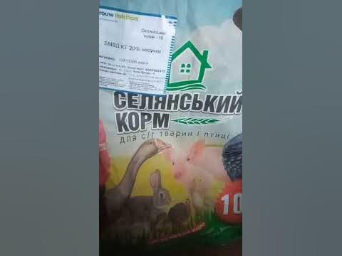 Корм для несушек - YouTube