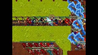MASSLOG AURERA / IRMDD TEAM 2016 #Tibia