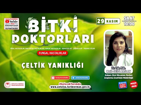 Video: Pirinç Bakteriyel Yaprak Yanıklığı Nedir – Pirinç Bitkilerinde Bakteriyel Yaprak Yanıklığı Hakkında Bilgi Edinin