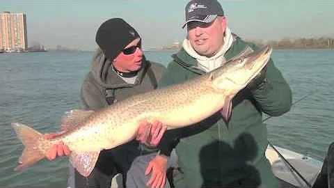 Musky Fishing Adventures  Keyes Outdoors 2012 - KO...